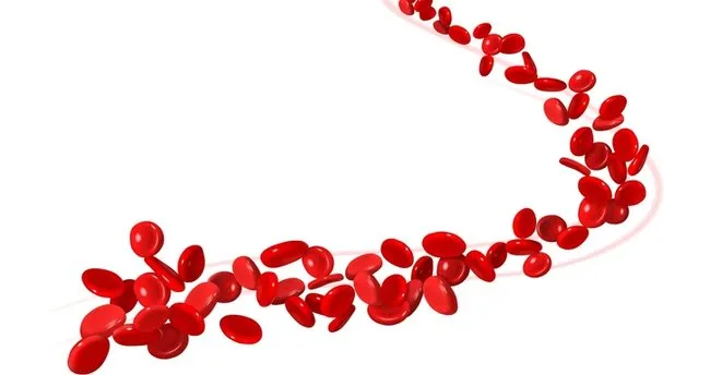 hemoglobin yuksekligi neden olur kanda hemoglobin hgb normal degerleri kac olmali saglik haberleri