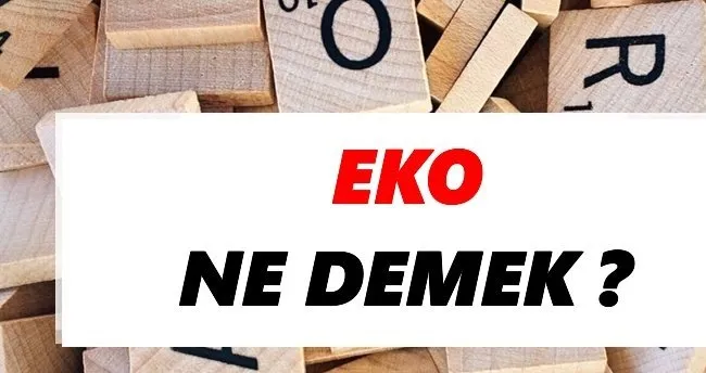 Eko Ne Demek? TDK Anlamına Göre Eko Sözlük Anlamı Nedir?