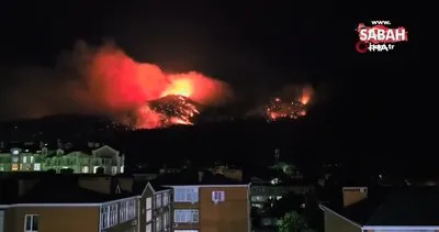 Rusya’da orman yangını: 118 hektarlık alan kül oldu | Video