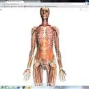 Tarihte bugün 17 Aralık