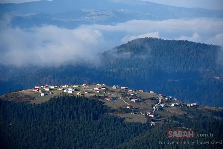 Karadeniz yaylalarında sonbahar