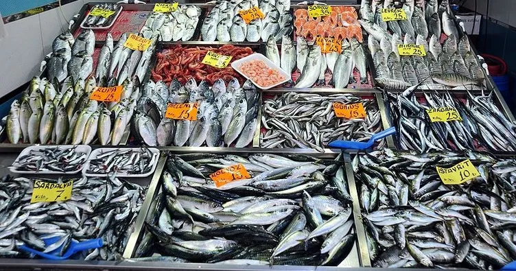 Karadeniz’de balıkçıların yüzü o hamsi ile güldü! Bereketli bir sezon geçiriyoruz