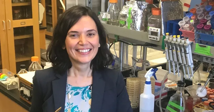 Bilim Ödülü, Doç. Dr. Elçin Ünal’a verildi