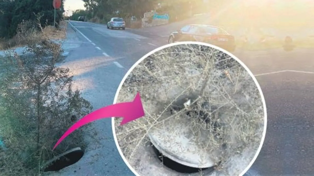 Kapağı kapatılmayan rögardan ağaç çıkmış! Kapağı kapatılmayan rögardan ağaç çıkmış!