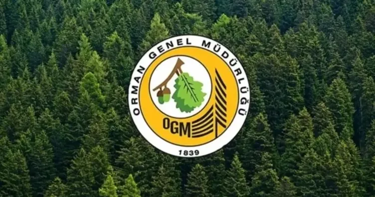 OGM PERSONEL ALIMI BAŞVURULARI DEVAM EDİYOR! Orman Genel Müdürlüğü OGM personel alımı şartları neler?