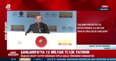 Başkan Erdoğan: Ceylanpınar ve Akçakale’ye doğalgaz arzına bugün başlıyoruz | Video