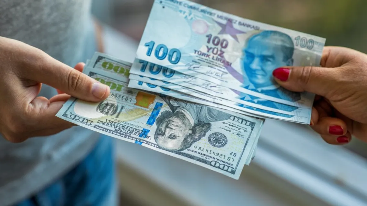 Türk yatırımcıların yurt dışındaki varlıklarını gösteren grafik