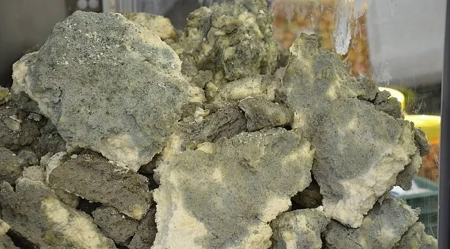 Gıda, Tarım ve Hayvancılık Bakanlığı'nın açıkladığı zehir saçan hileli ürünler listesi