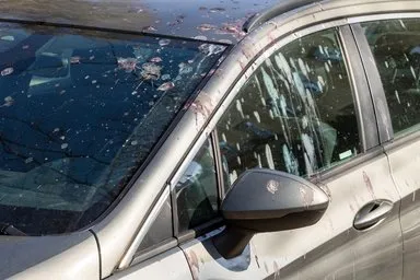 Güvercinler arabanıza bu yüzden pisliyormuş! Bilim insanları açıkladı: “Sanılanın aksine tek sebebi…” Güvercinler arabanıza bu yüzden pisliyormuş! Bilim insanları açıkladı: “Sanılanın aksine tek sebebi…”