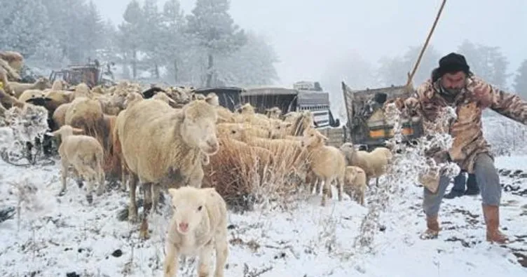 Kar mağduru olan çobanlar kurtarıldı