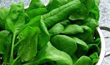 Terenin faydaları nelerdir?