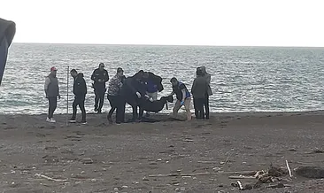 Muğla’da sahilde parçalanmış erkek cesedi bulundu