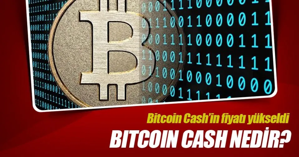 Bitcoin Cash In Bch Fiyati Yukseldi Bitcoin Cash Nedir | Bitcoin cash e ne oldu Bitcoin Cash In Bch Fiyati Yukseldi Bitcoin Cash Nedir -