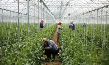 Tarım işçilerinin ramazanda ekmek kavgası