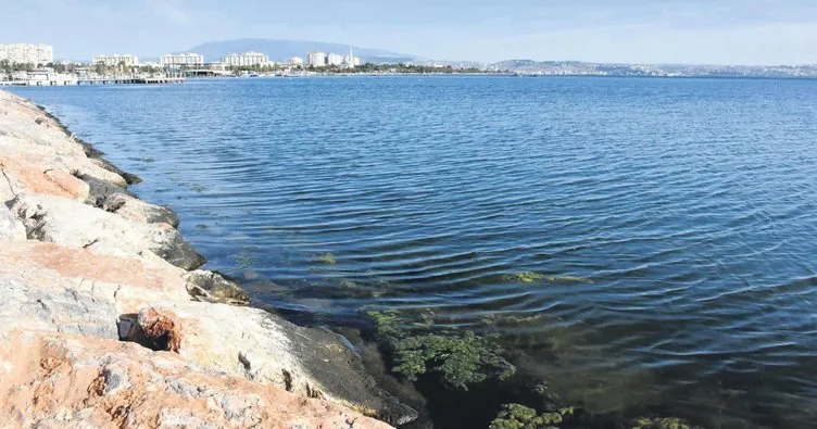 İzmir Körfezi kıyısı yeşile büründü