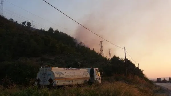 Son dakika: Söke'deki orman yangını kısmen kontrol altında! Havadan ve karadan müdahale sürüyor