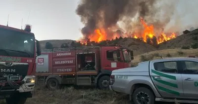 Yangın havadan ve karadan müdahale ile kontrol altına alındı #afyonkarahisar