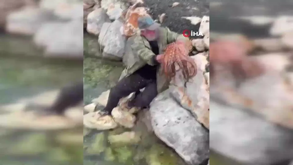 İzmir’de şaşırtıcı olay: Ahtapotu elleriyle böyle yakaladı | Video videosunu izle İzmir’de şaşırtıcı olay: Ahtapotu elleriyle böyle yakaladı | Video videosunu izle
