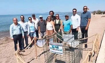 Caretta caretta yumurtaları koruma altında #izmir