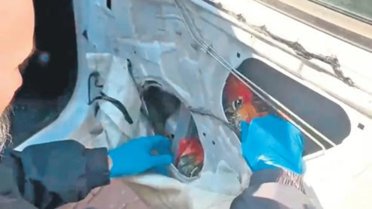 Bir kapıdan 66 bin hap çıktı