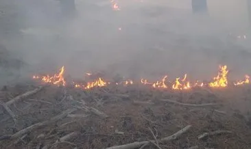 Adana’da orman yangını! Havadan ve karadan müdahale devam ediyor