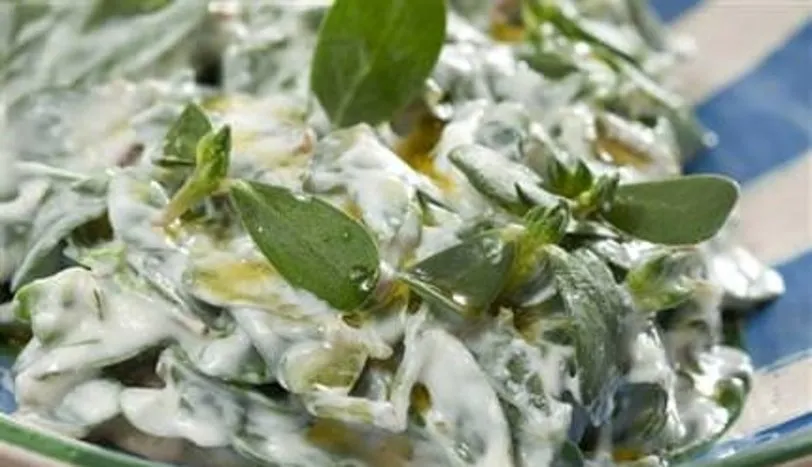 yogurtlu semizotu salatasi