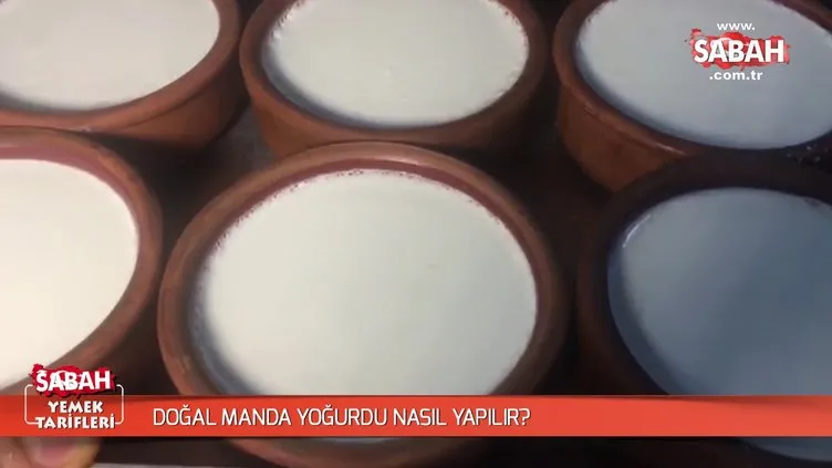 Doğal manda yoğurdu nasıl yapılır?
