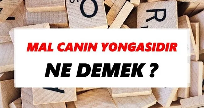 Mal canın yongasıdır Ne Demek? TDK’ya Göre Mal canın yongasıdır Sözlük Anlamı Nedir?