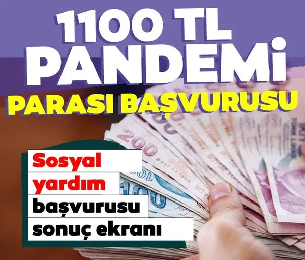 E Devlet Sosyal Yardim Parasi Basvurusu Nasil Yapilir Pandemi 1100 Tl Sosyal Yardim Destek Parasi Kimlere Verilecek Ne Zaman Yatar Ve Sartlari Nedir Galeri Yasam