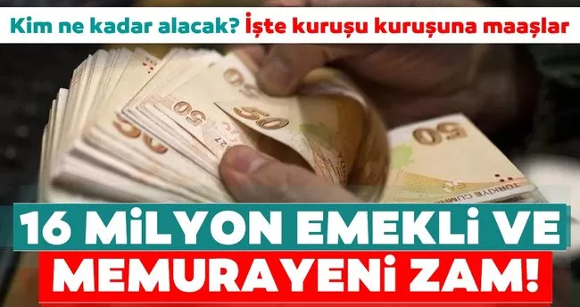 Son Dakika Haberi Emeklinin 5 Aylik Zammi Belli Oldu Iste Kurusu Kurusuna Yeni Emekli Ve Memur Ocak Maas Zamlari Son Dakika Haberler