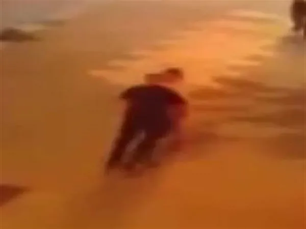 1789466078990.jpg