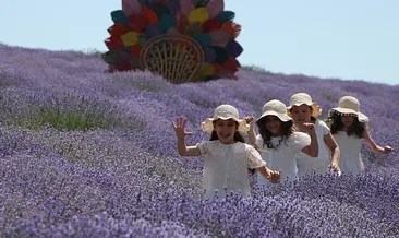 Tekirdağ’da lavanta turizmi