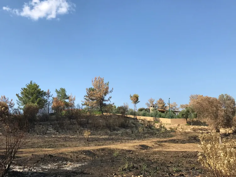 Son dakika: Manavgat yanarken evini kurtaran başkan Şükrü Sözen’den akla ziyan bahaneler