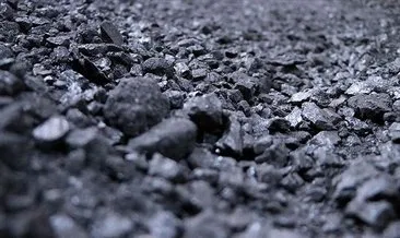 IEA Başkanı Birol: Kömüre çok ciddi bir eğilim gelebilir