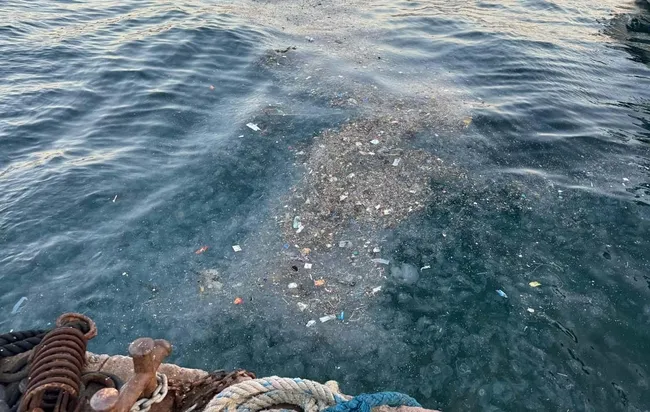 besiktasta-deniz-kirliligi-vatandaslarin-tepkisine-neden-oldu-copler-denizde-yuzuyor-1738438257952.jpg