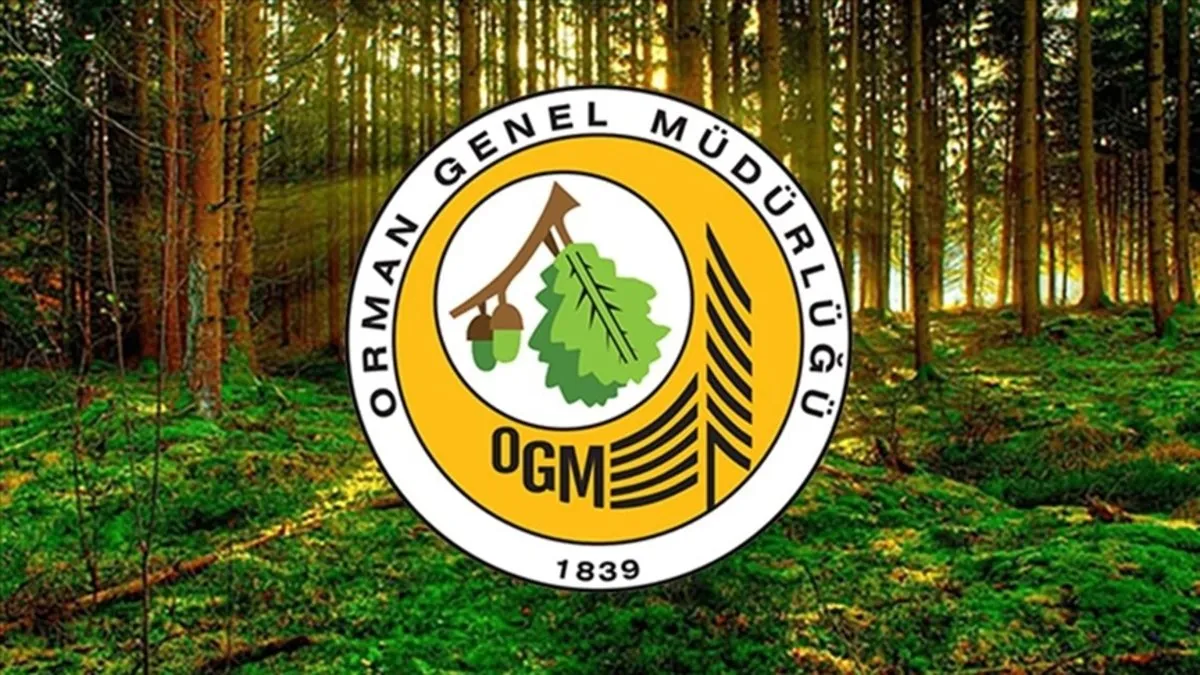 OGM açıkladı: Ormanların korunması için 11 milyar lira harcandı OGM açıkladı: Ormanların korunması için 11 milyar lira harcandı