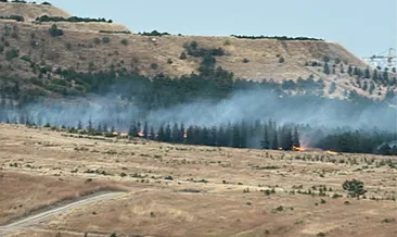 Ankara’da ağaçlık alanda yangın!