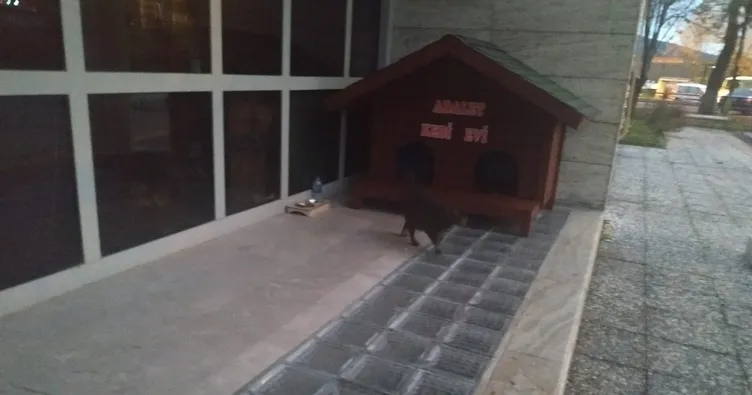 ‘Adalet’ adliyenin maskotu oldu