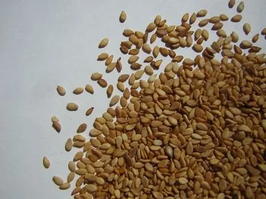 Safra taşlarının düşmesini sağlıyor!
