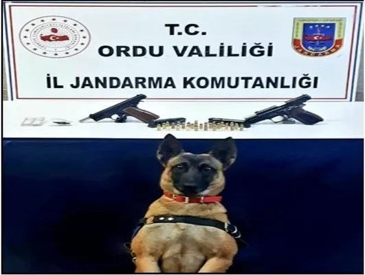 Jandarma ekiplerinden uyuşturucu operasyonu: 2 gözaltı