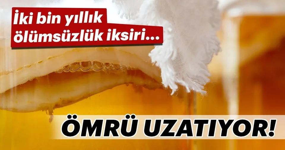 Iki Bin Yillik Olumsuzluk Iksiri Saglik Haberleri