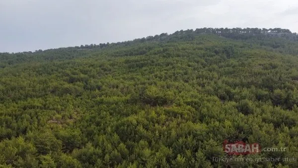 Muslume Bebegin Olum Nedeni Belli Oldu Mu Kim Oldurdu Muslume Bebek Katili Kim Muslume Yagal Nasil Ve Neden Oldu Minik Kizin Katili Dedesi Mi Dedesi Neden Tutuklandi Yasam Haberlerison Dakika Haberler