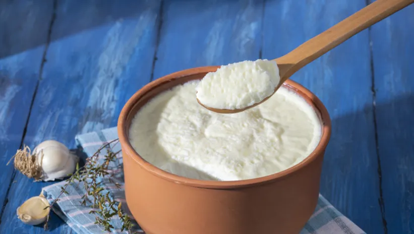 Evde taş gibi yoğurt mayalamanın yolu! Usta aşçıların sır gibi sakladığı formül...