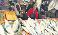 Mavi vatanın ihracat gücü büyüyor