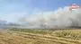 Mardin’de anız yangını: Söndürme çalışmaları sürüyor | Video