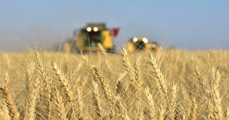 Tarım sektöründen ihracatta ocak rekoru