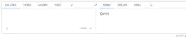 Google Translate Ile Ingilizce Turkce Almanca Ceviri Nasil Yapilir Google Translate Ceviri Sistemi Kullanimi Galeri Yasam