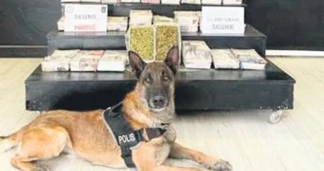 Uyuşturucu tacirlerine darbe üstüne darbe Uyuşturucu tacirlerine darbe üstüne darbe