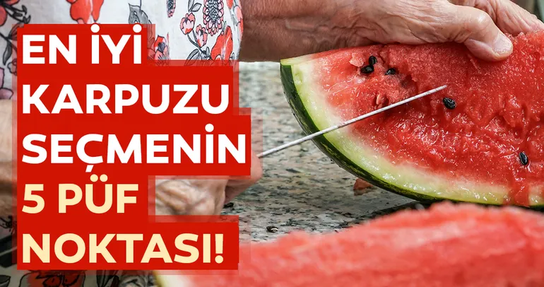 Karpuz seçmenin püf noktaları