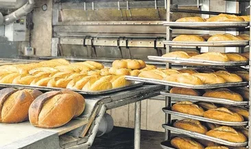 Ekmekte hileye düzenleme yolda